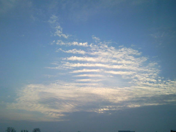 Наталья Павлишина