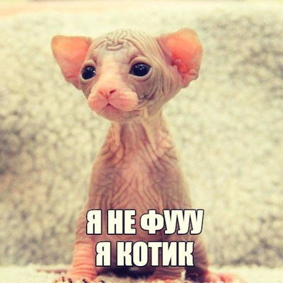 Настя Старостина