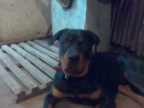 Марина Воробьева