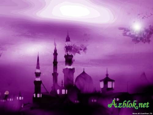 ******************** ***********