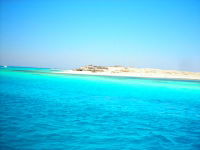 Максим Гущин