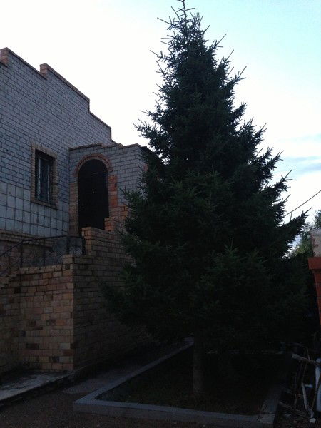 Жанар Толебекова