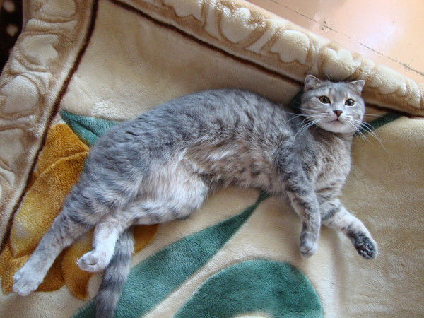 Роман Щербаков