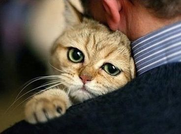 Ольга Михайленко