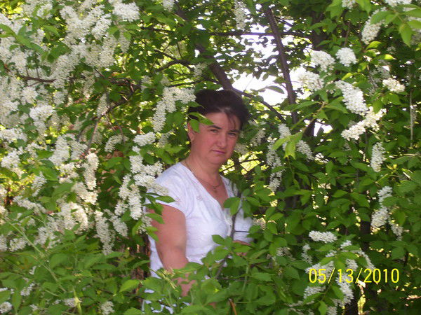 Халима Гаязова