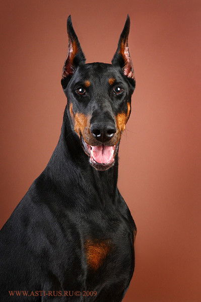 Станислав Шведов