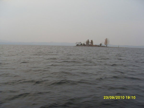 Cофья Арефьева