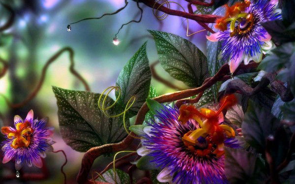 Олеся Буглак