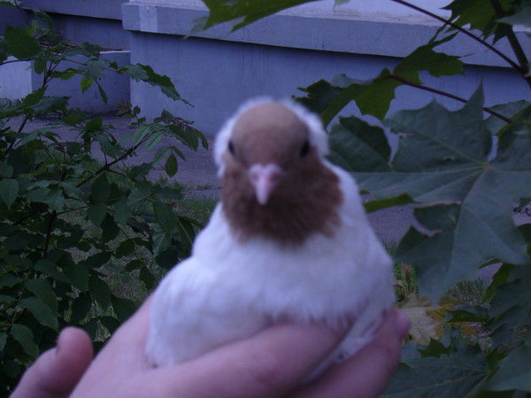 Оксана Васильева