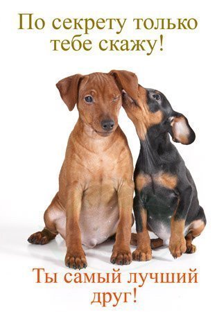 Татьяна Стацюк