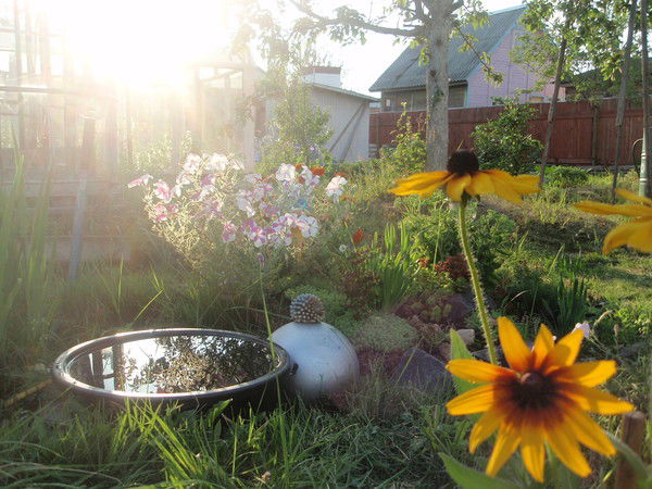 Ольга Королева