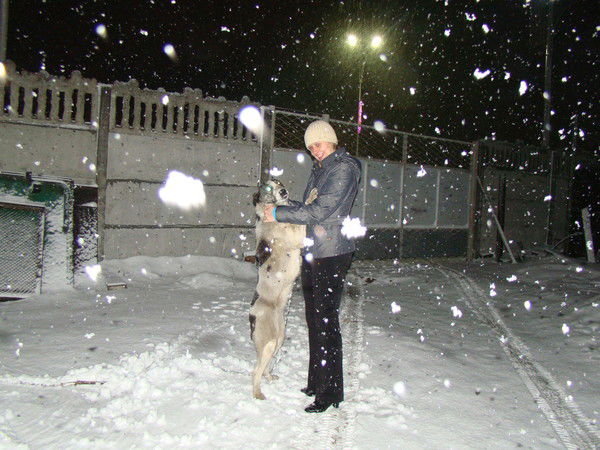 Наталья Василовская