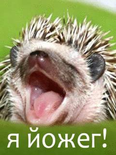 Алмаз Гарипов