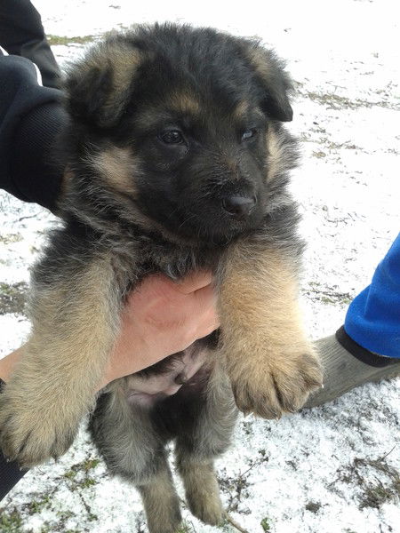 Сергей Транчук