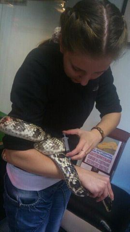 Алёна Голубенко