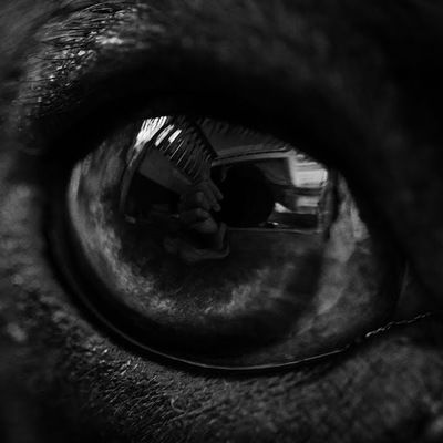 Майя Краснянская