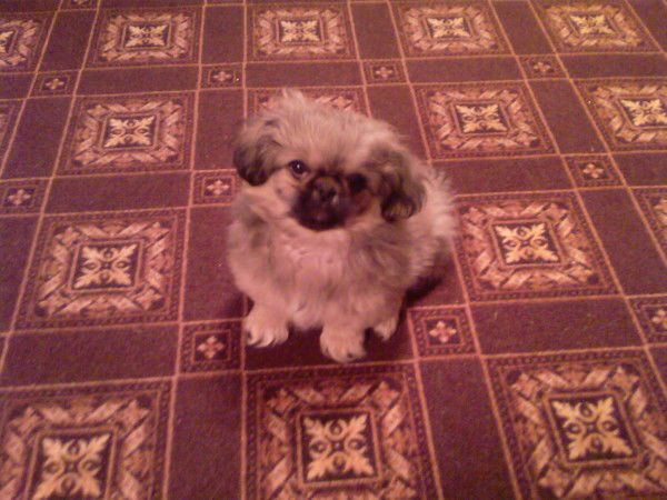 Наталья Иванова