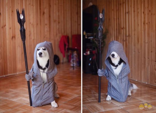 Тимур Якубов