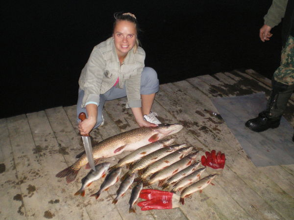 Елена Шиляева