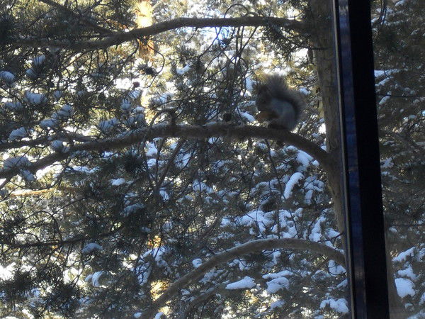 Светлана Тугузбаева