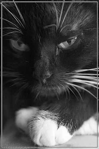 Иночка Задорожная