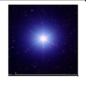 Светлана Гареева