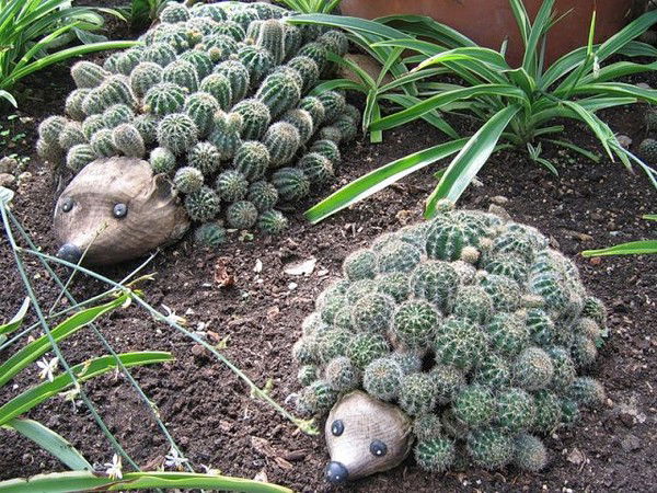 Светлана Бедарева