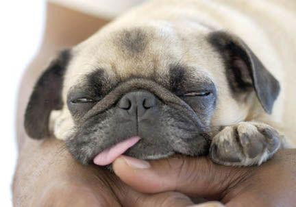 Денис Баксан