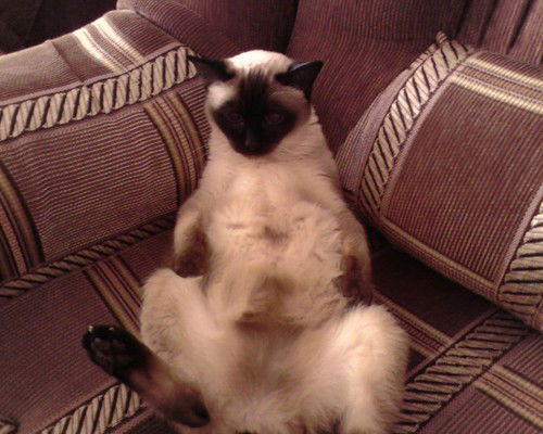 Сергей Локатырь