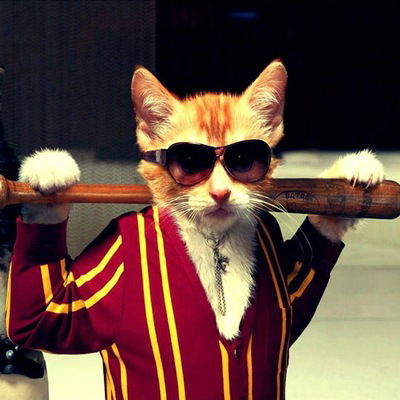 Егор Сгибнев