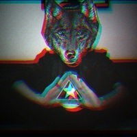 Даниил Залуцкий