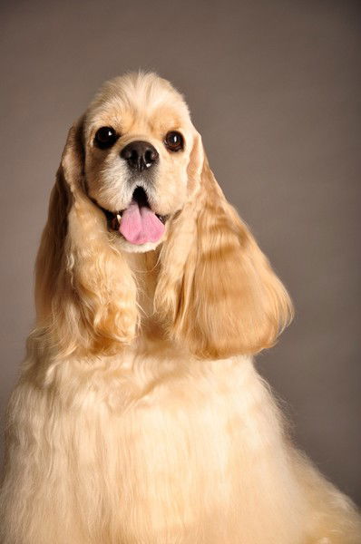 Ирина Николаева