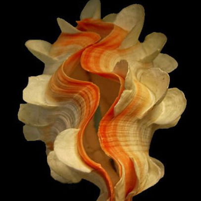 Артур Казарян