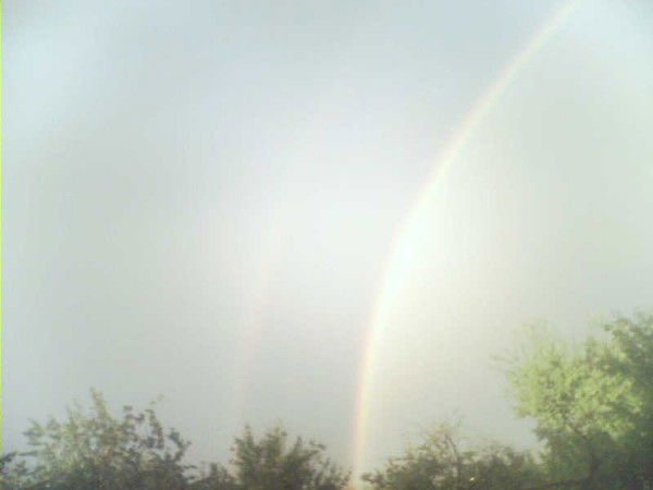 Володя Червяков