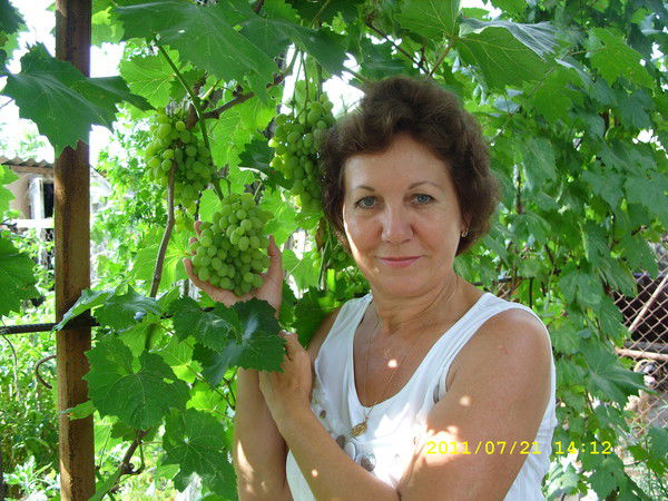 Надежда Толстихина