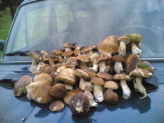 Евгений Степанченко