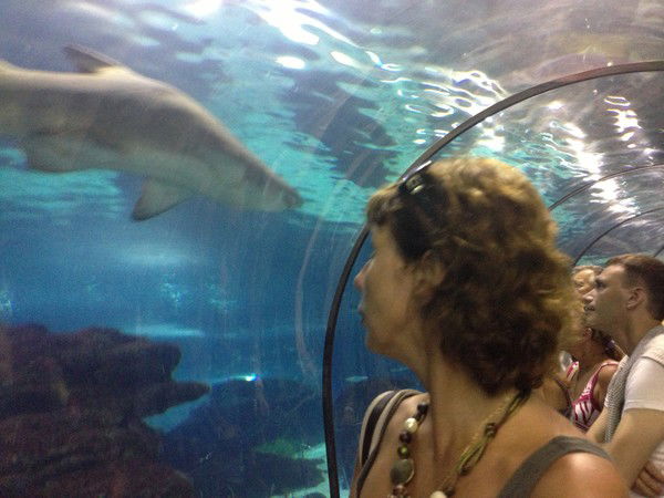 Юлия Белова