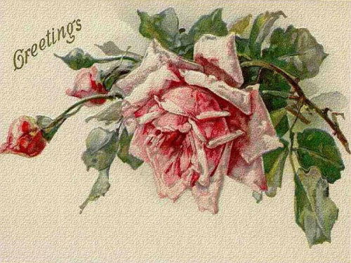 Эдит Стрельченко