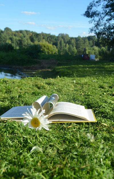 Елена Русапетова