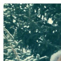 Татьяна Паяшева