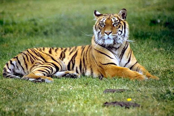 Валентин Святенко