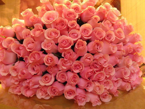 Гульмира Мухтарова