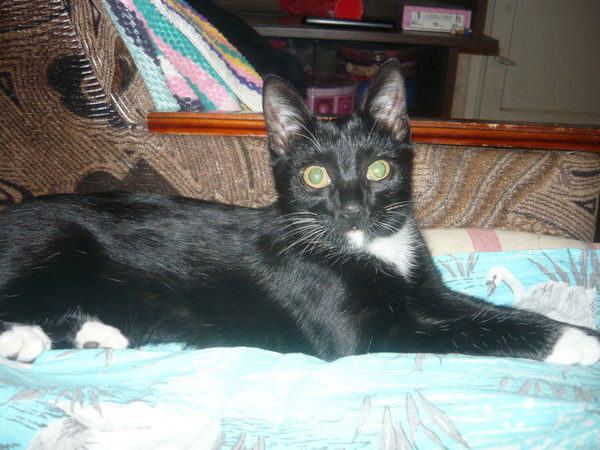 Светлана Самиуллина