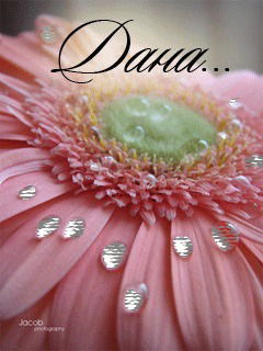 Дана Цумина