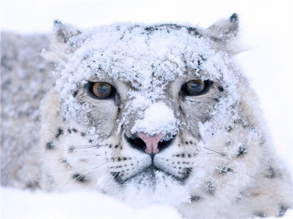 Алексей Шумков