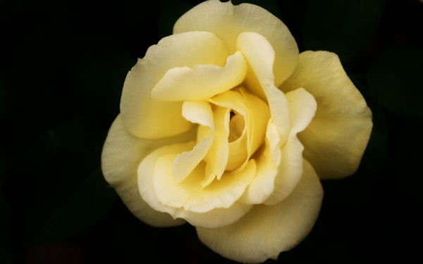 Гаухар Абдиева