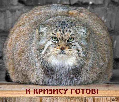 Валерий Мацегора