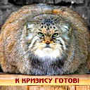 Валерий Мацегора