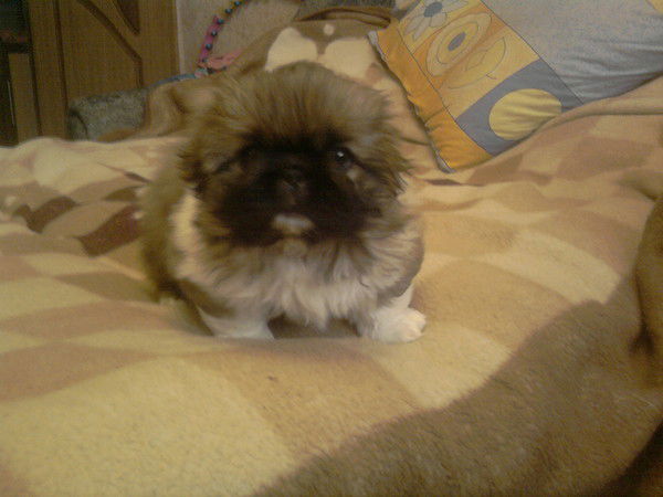 Алексей Кожанов