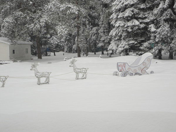 Нуртас Балпейсов